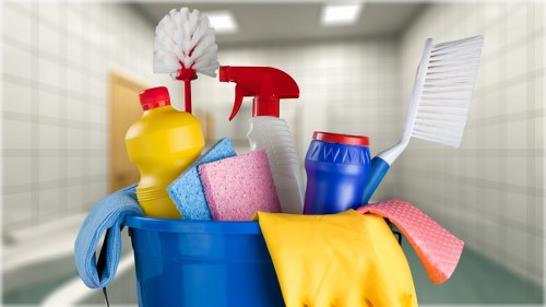 Carpet cleaning team using environmentally responsible methods in Brockley