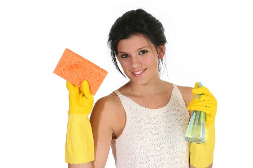 Carpet and upholstery stain removal services in Brockley