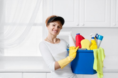 Professional pet stain odour removal in a Brockley home