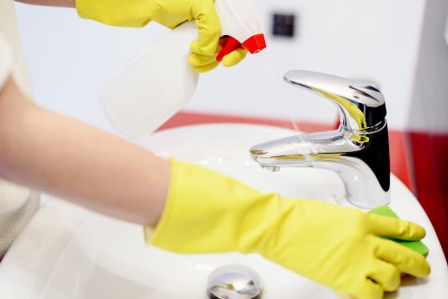 Professional carpet care process for residential and commercial spaces