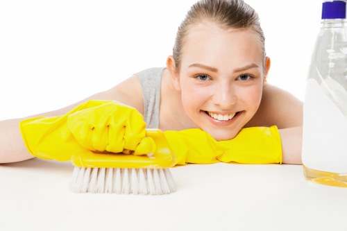 Specialist stain removal process for fabric surfaces