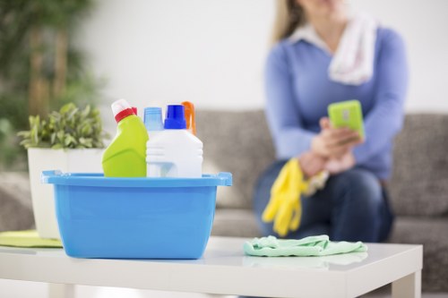 Continuous accessibility improvement for Brockley carpet cleaners online