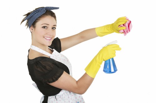 Odour removal process for pet accident cleanup